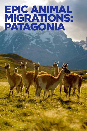 Epic Animal Migrations: Patagonia movie poster