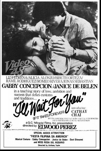 I'll Wait For You (If It Takes Forever) movie poster