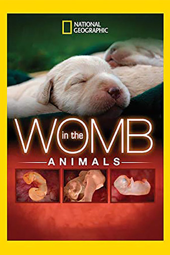 In The Womb: Animals movie poster