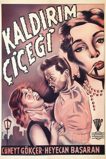 Kaldırım Çiçeği movie poster