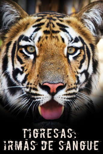 Tigress Blood movie poster