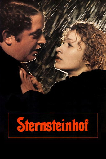 The Sternstein Manor movie poster