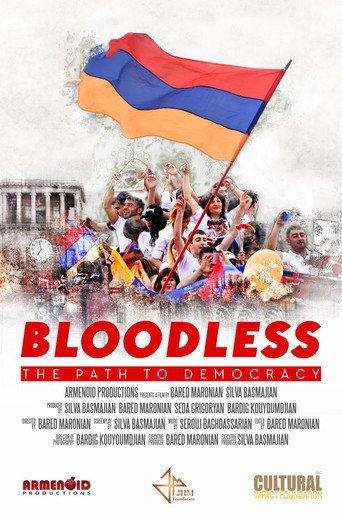 Bloodless: The Path to Democracy movie poster