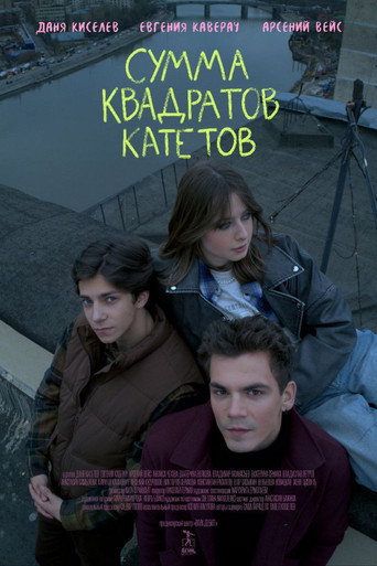 Сумма квадратов катетов movie poster