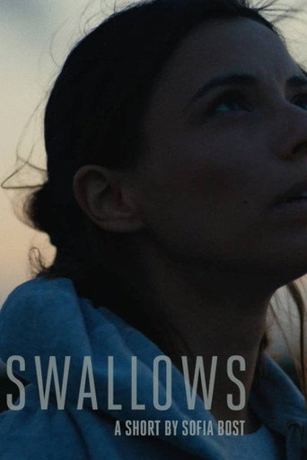 Swallows movie poster