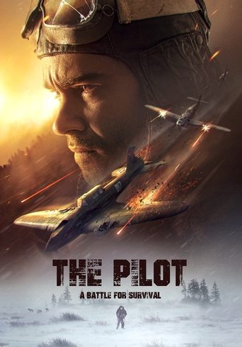 The Pilot: A Battle for Survival movie poster
