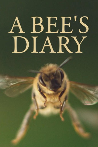 A Bee's Diary movie poster