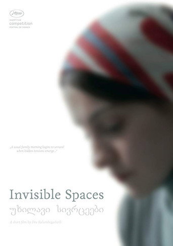 Invisible Spaces movie poster