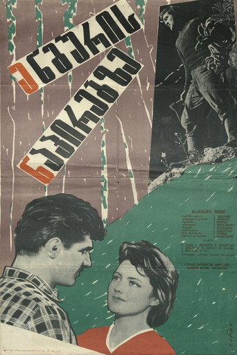 On the Side of Enguri movie poster