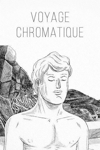 Voyage Chromatique movie poster