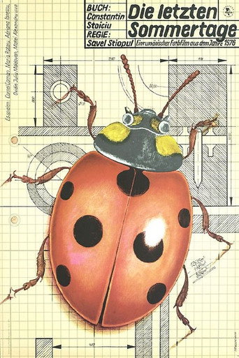 Last Days of Summer movie poster