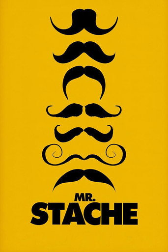 Mr. Stache movie poster