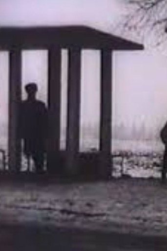 Bus Stop movie poster