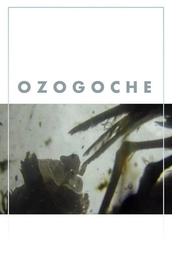 Ozogoche movie poster