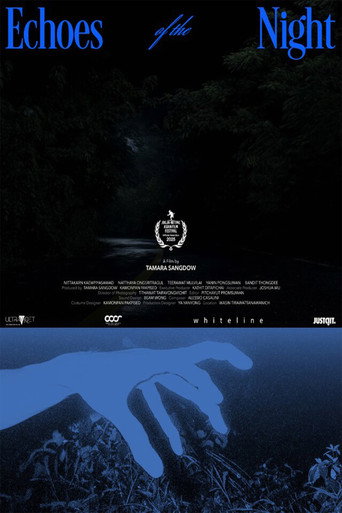 Echoes of the Night movie poster