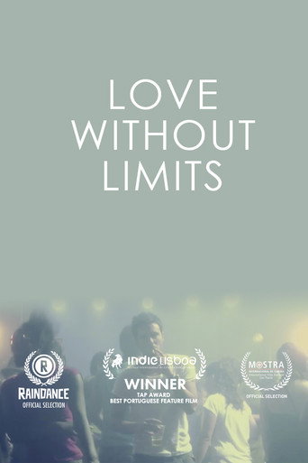 Love Without Limits movie poster