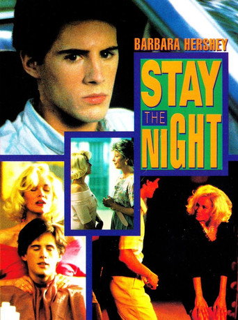 Stay the Night movie poster