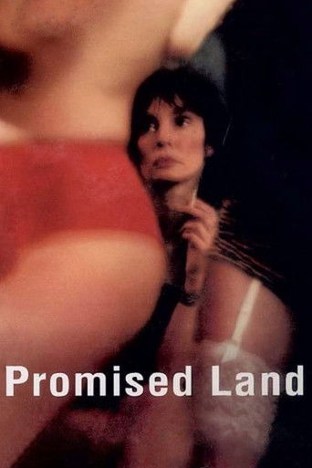 Promised Land movie poster