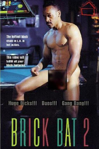 Brick Bat 2 movie poster