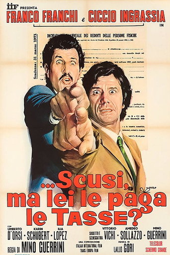 ...Excuse Me, Do You Pay Taxes? movie poster