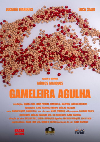Gameleira Agulha movie poster