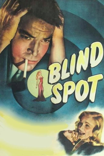 Blind Spot movie poster