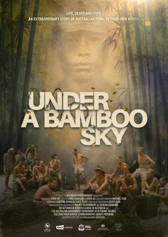 Under a Bamboo Sky movie poster