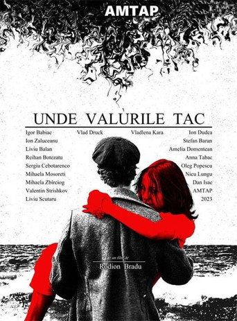 Unde Valurile Tac movie poster