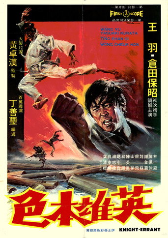 Knight Errant movie poster