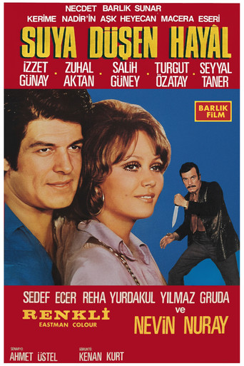 Suya Düşen Hayal movie poster