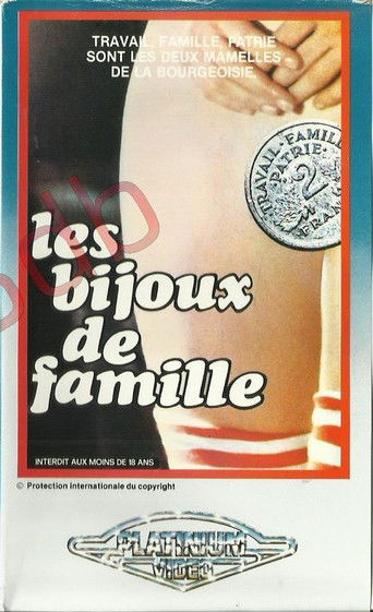 Family Jewels movie poster