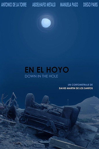 Down  in the Hole movie poster