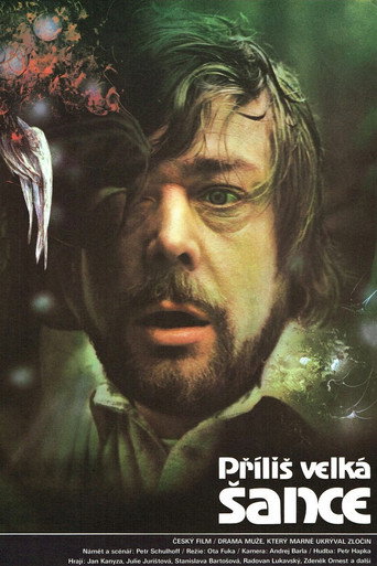 Příliš velká šance movie poster