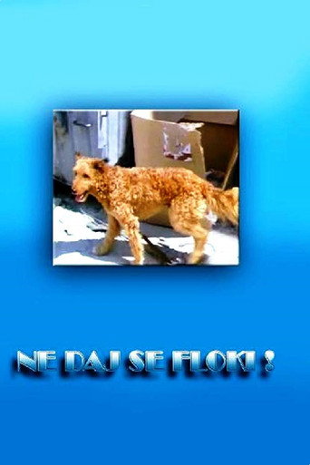 Don't Give in, Flockey! movie poster