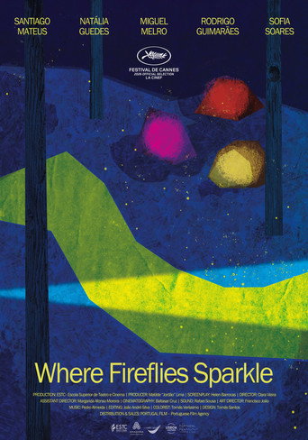 Where Fireflies Sparkle movie poster