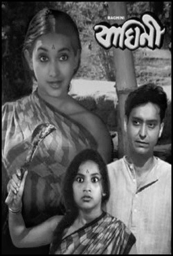 Baghini movie poster