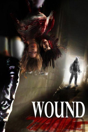 Wound movie poster