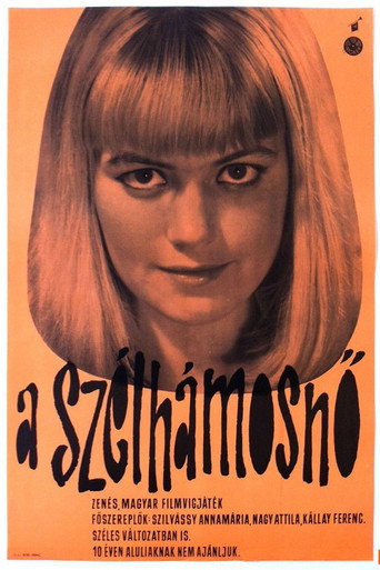 Miss Windbag movie poster