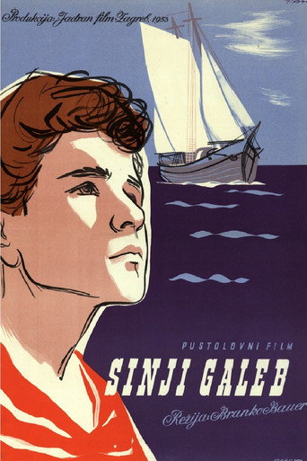 The Grey Seagull movie poster