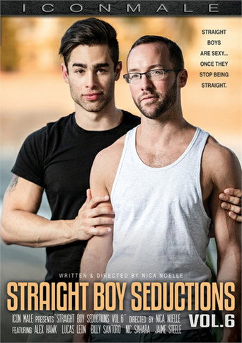 Straight Boy Seductions 6 movie poster