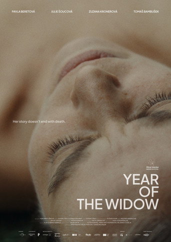 Year of the Widow movie poster