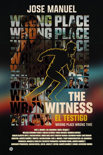 The Witness movie poster