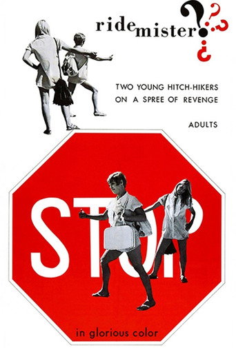 Ride, Mister? movie poster