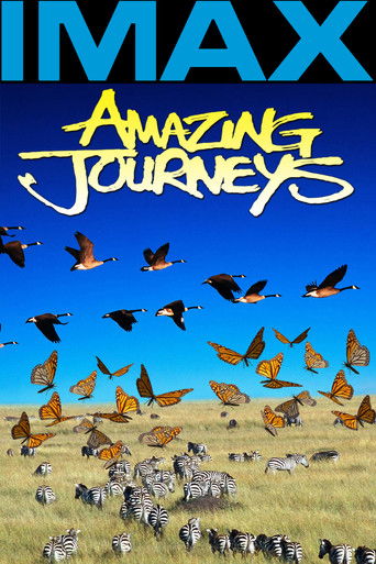 Amazing Journeys movie poster