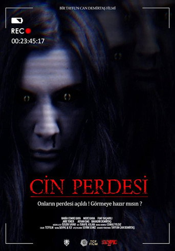 Cin Perdesi movie poster