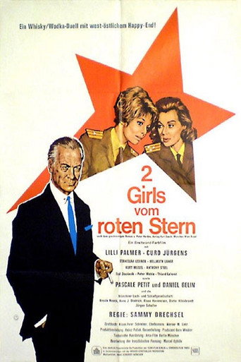 An Affair of States movie poster