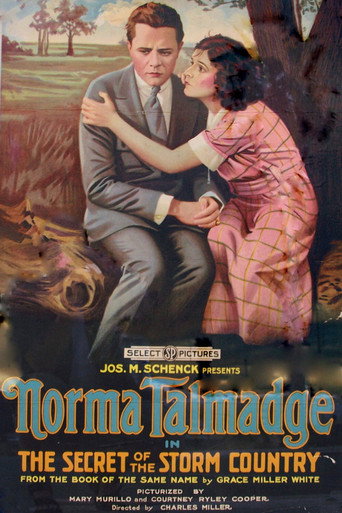 The Secret of the Storm Country movie poster