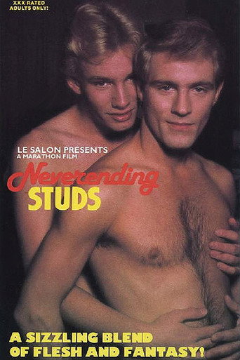 Neverending Studs movie poster