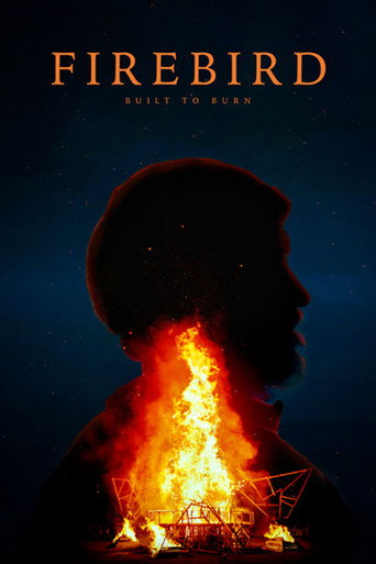 Firebird: Built to Burn movie poster
