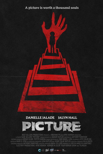 Picture movie poster
